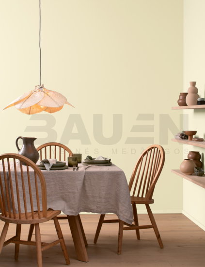 Dažai | Spalvoti vidaus dažai Alpina Pure Farben Blassgrün 2,5 Ltr.
