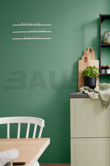 Dažai | Spalvoti vidaus dažai Alpina Pure Farben Rosmaringrün 2,5 Ltr.