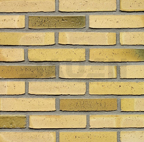 Apdailos  | Olandiška apdailos plyta WIENERBERGER TERCA Teunisbloem WF