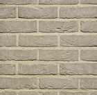 Belgiška apdailos plyta WIENERBERGER TERCA Agora Agaatgrijs Eco-brick® WF