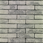 Belgiška apdailos plyta WIENERBERGER TERCA Agora Agaatgrijs Eco-brick® WF