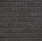 Belgiška apdailos plyta WIENERBERGER TERCA Agora Grafietzwart Eco-brick® WF