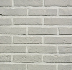 Belgiška apdailos plyta WIENERBERGER TERCA Agora Zilvergrijs Eco-brick® WF