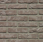 Belgiška apdailos plyta WIENERBERGER TERCA Forum Cromo Eco-brick® WF