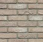 Belgiška apdailos plyta WIENERBERGER TERCA Forum Prata Genuanceerd Eco-brick® WF