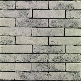 Belgiška apdailos plyta WIENERBERGER TERCA Agora Agaatgrijs Eco-brick® WF